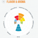 Yeast Aroma/Flovor Wheel