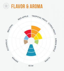 Yeast Aroma/Flovor Wheel