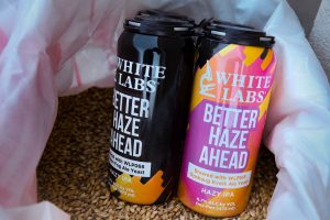 Yeast taste test