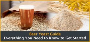 Yeast makes beer as the saying goes in the beer industry.