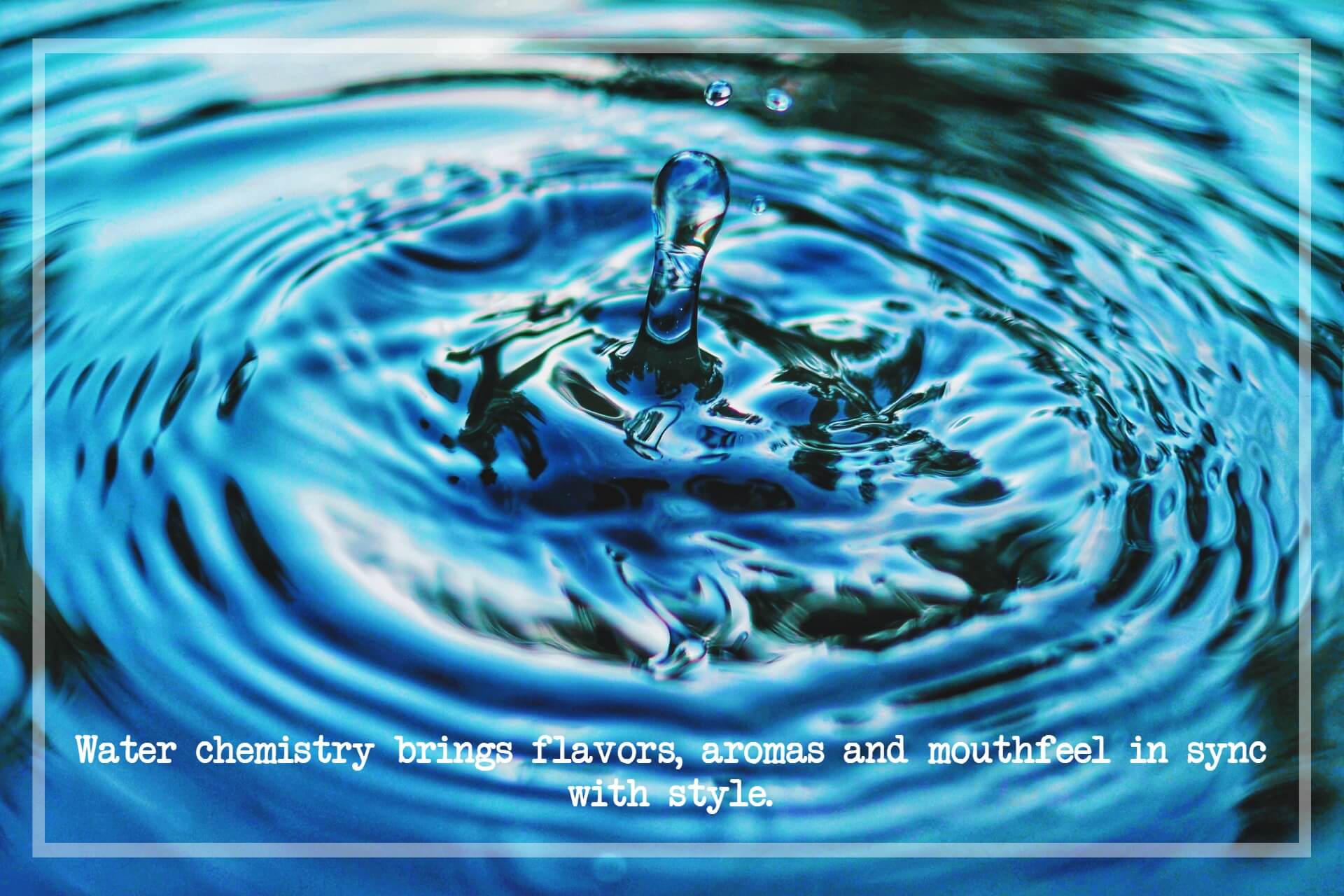 Water is 95% in Beer. Water chemistry isn't seen but can be tasted.