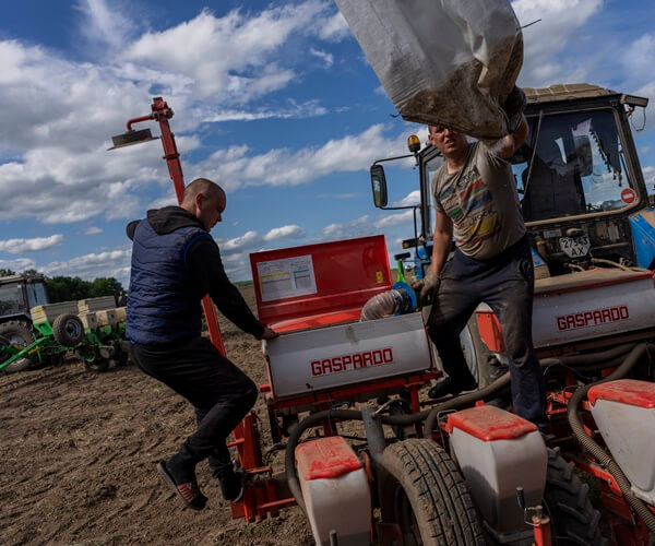Seeds are critical to crops responding to climate and disease.